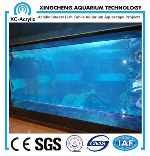 Transparent Acrylic Fish Tank