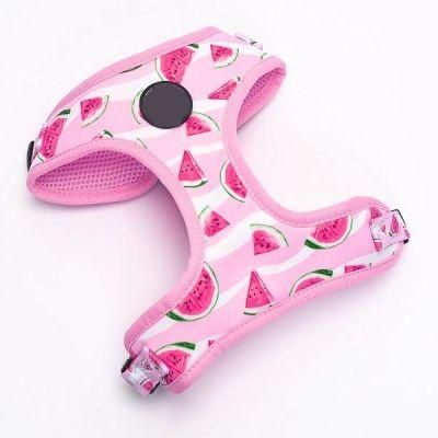2022 Amazon Premium Personal Logo Customized Summer Collection Dog Harness Set Pet Accessories Manufacture Pet Supply