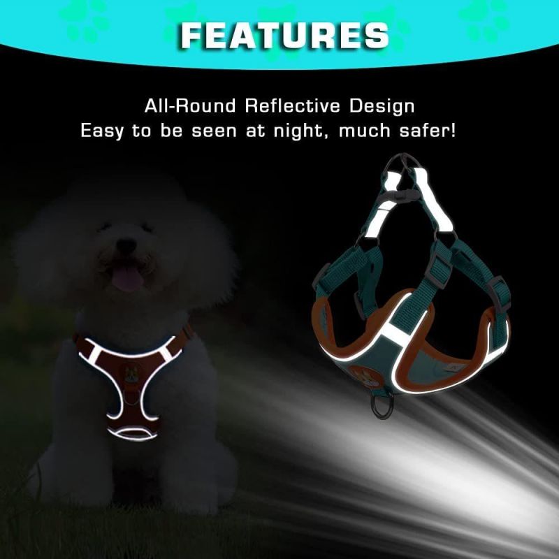 New Reflective Dog Harness for Small Dogs and Cat Escape Proof Pet Harness Set