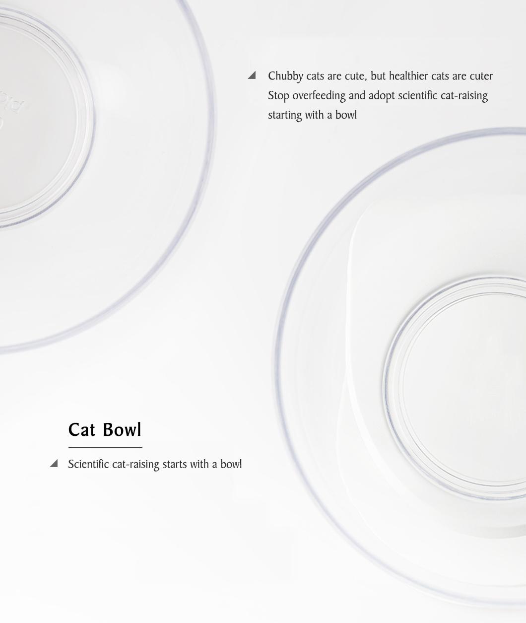 Elevated Pet Bowls Perfect for Cats and Small Dogs