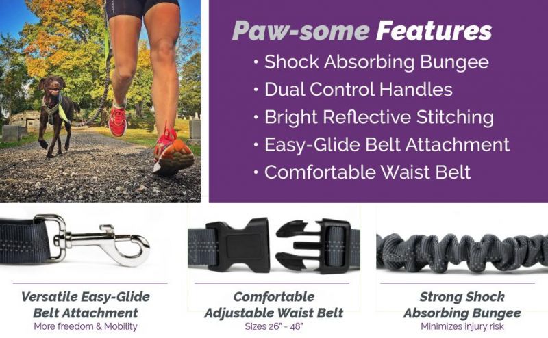 Reflective Stitching Hands-Free Dog Leash