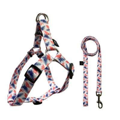 Custom OEM Accept Adjustable Reversible Dog Harness and Leash Set