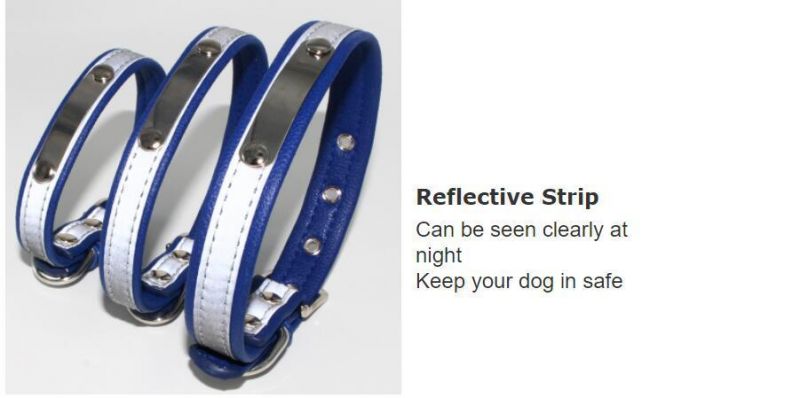 High Quality Custom Dog Collar with Reflective Strip