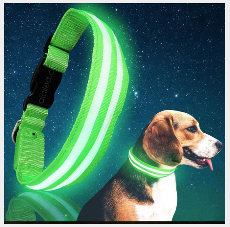 USB Rechargeable Flashing LED Nylon Safety Dog Collar