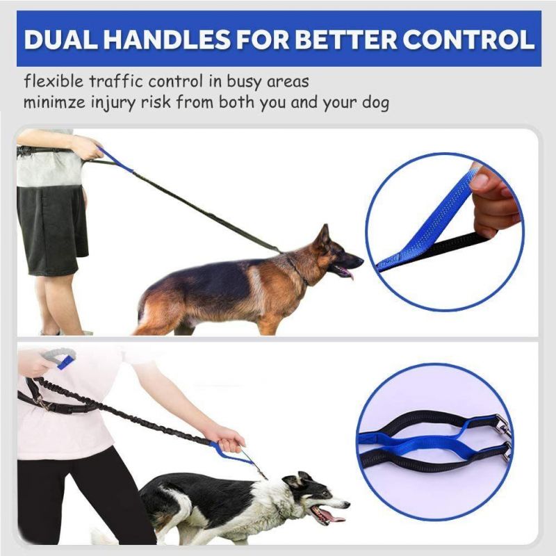 Dual-Handle Reflective Bungee Handsfree Leash