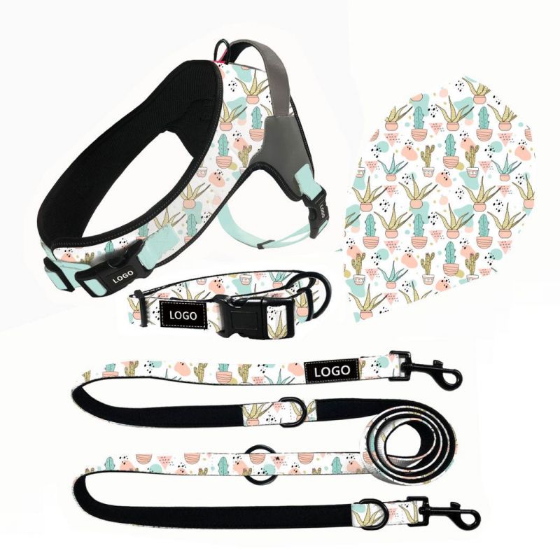 Multifunctional Dog Leash Collar