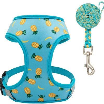 Amazon Dog Harness and Leash Set, Pineapple Sunflower Double-Sided Printed Adjustable Soft Padded Bondage Puppy Vest Harness
