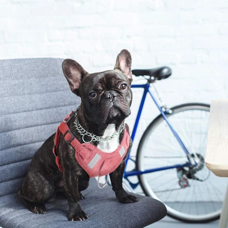 No Pull Harness for Puppies Made by Soft Suede Fabric for Small and Medium Dogs