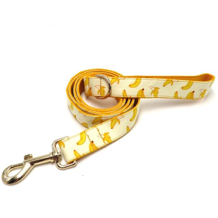 Eco-Friendly Pet Accessories Supplies Print Adjustable Luxury Nylon Dog Collar and Leash Set