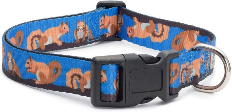 Durable Unique Design Animal Bug Themed Dog Collar