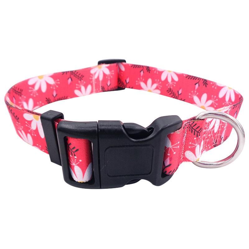 Double Buckle Collar Pet Collar Comfortable Material Dog Collar