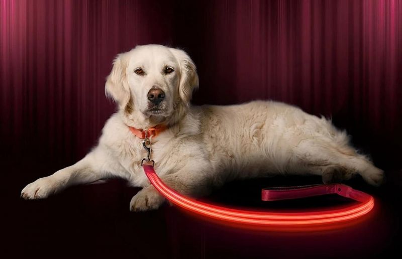 LED Dog Collar with USB Rechargeable Battery, Lightweight, Sturdy & Durable Materials