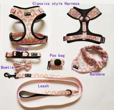 High Quality Fashion Custom Design Dog Harness and Dog Leash