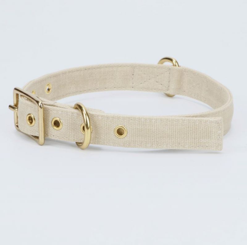 Eco Friendly Light Grey Canvas Waxed Dog Collar with Brass Metal