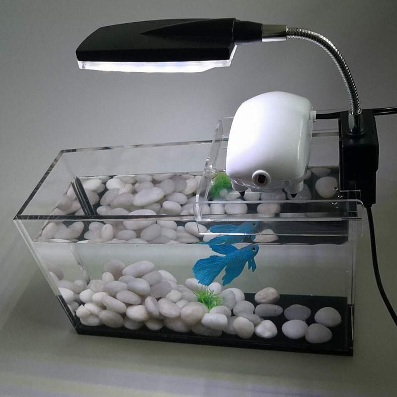 2020 Factory Directly Supply Acrylic Square Aquarium Can Be Customized Transparent Manufacturers Direct