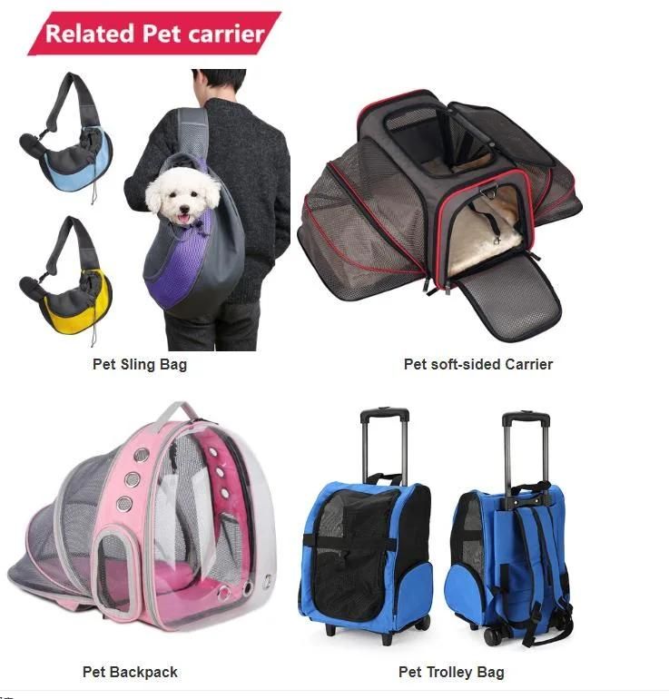 PVC Material New Casual Breathable Clear Pet Carrier