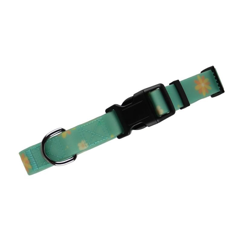Top Manufacturer Factory Waterproof Dog Collar and Leash Printing Design