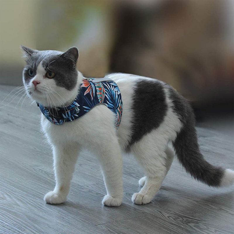 Hawaii Style Cat Vest Harness and Leash Walking Pet Vest Suitable for Kitten