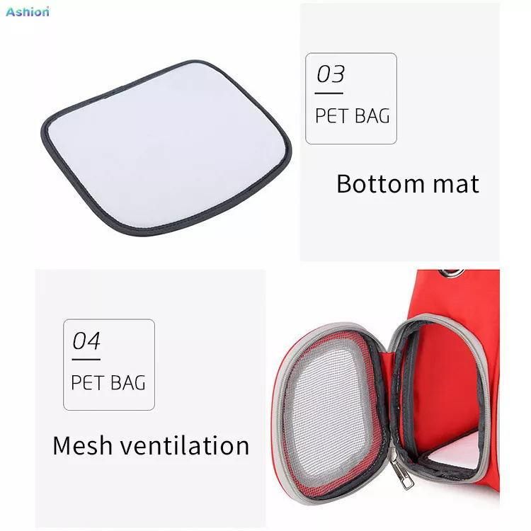 Outdoor Portable Small Pet Backpack