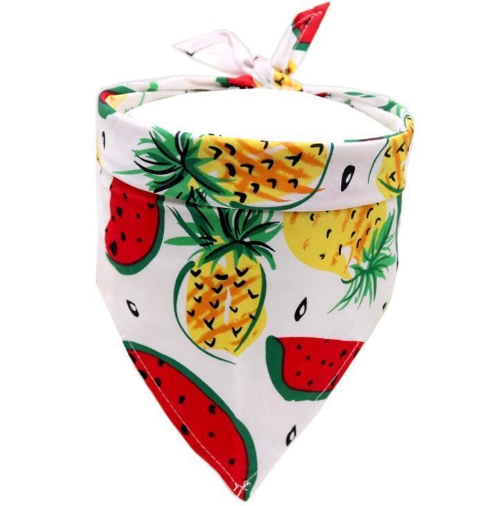 Multiple Pattern Summer Fruit Dog Bandana with Fast Delivery