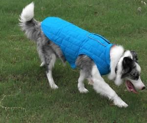 Factory Sales Puppy Clothes Cotton Blue and Orange Pet Dog Hoodie Clothes with Reflective