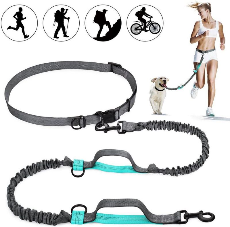 Retractable Hands Free Dog Leash with Dual Bungees for Dogs up to 150lbs