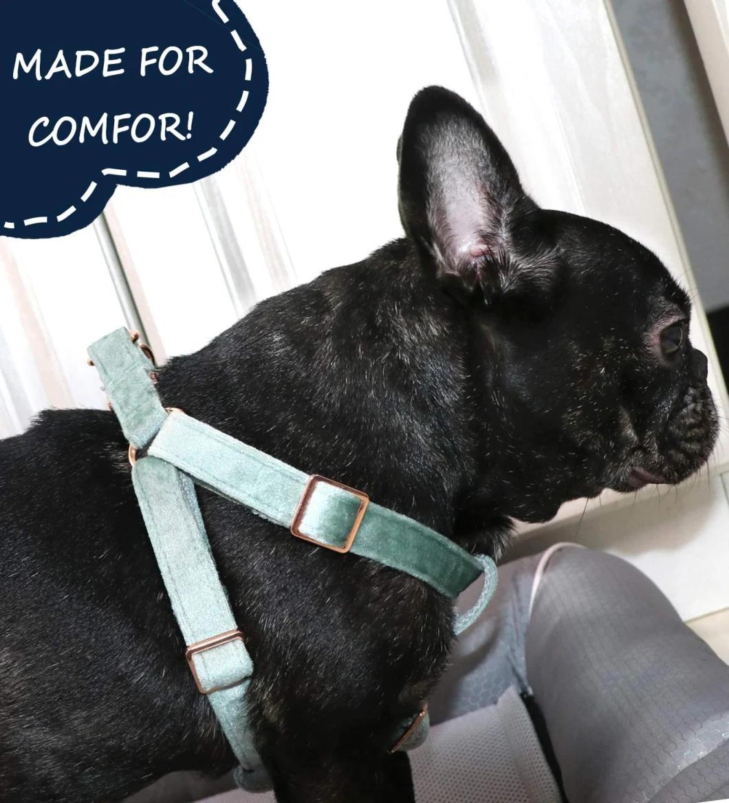 Dog Halter Harness, Velvet Dog Harness, No Pull Dog Halter Harness