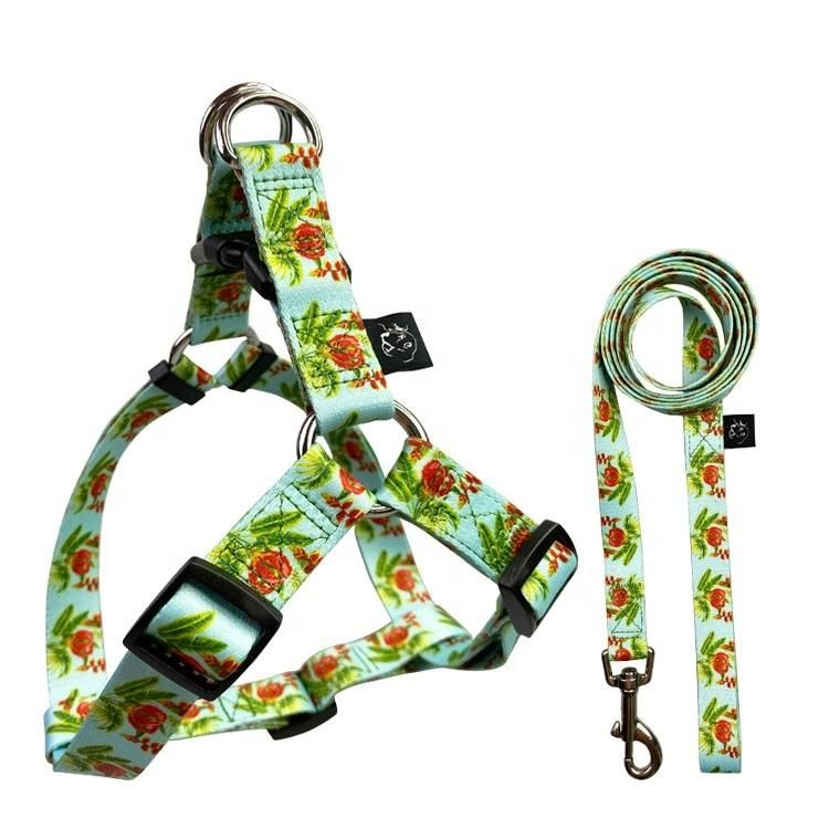 Wholesale Colorful Adjustable Luxury Soft Polyester Pet Cat Dog Harness and Leash Set
