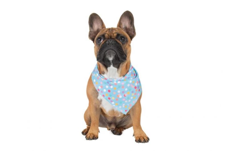 Wholesale Custom Pet Clothing Accessories Printed Pattern Cotton Soft Dog Bandana