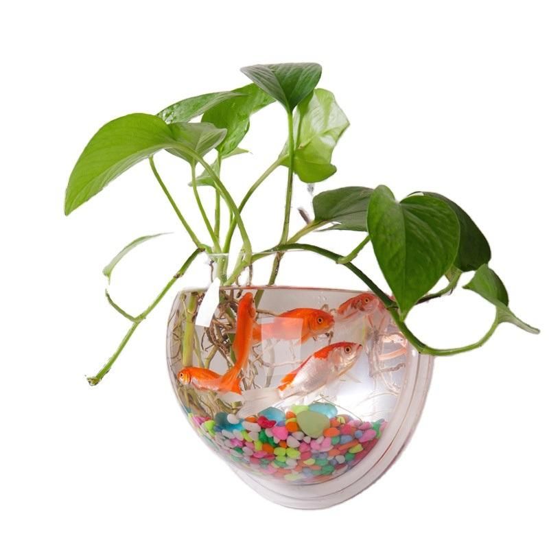The Latest Design Acrylic Fish Tank Can Be Hung