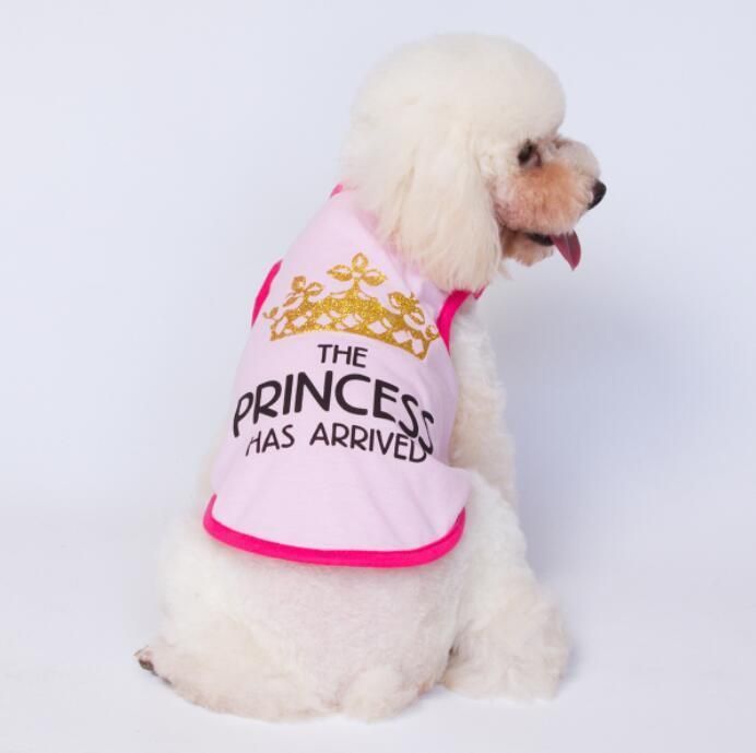 Hot Sell Adorable Summer Dog T-Shirt with Fast Delivery