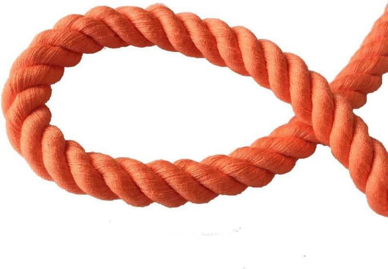 Safe and Sturdy 10 Feet Soft Cotton Rope Dog Leash