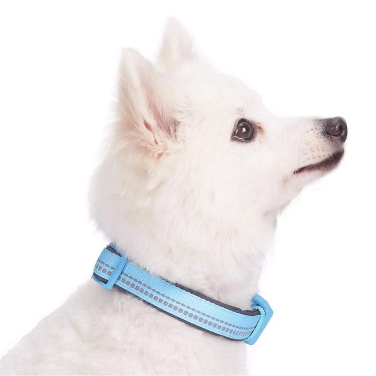 Soft Reflective Fashion Nylon Webbing Neoprene Padded Pet Dog Collar