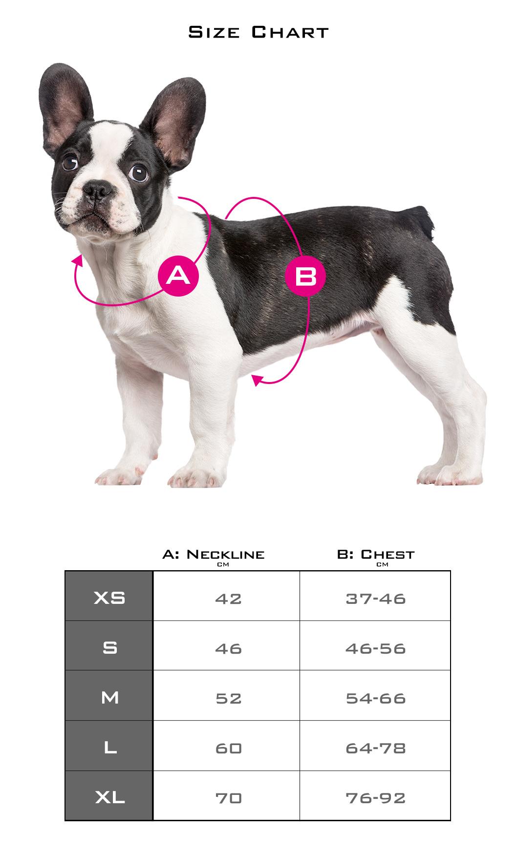 Premium Quality Coolcore Mesh No-Pull Pet Dog Harness