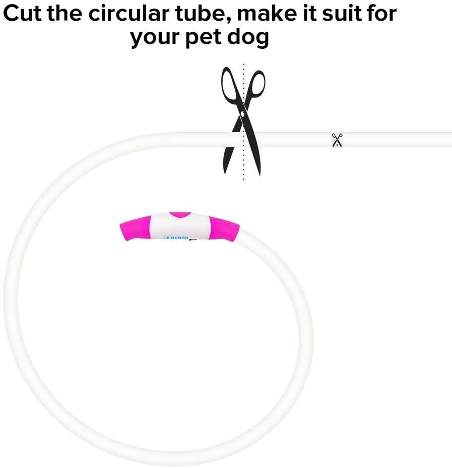 USB Rechargeable Glowing Pet Dog Collar for Night Safety Fashion Light up Collar
