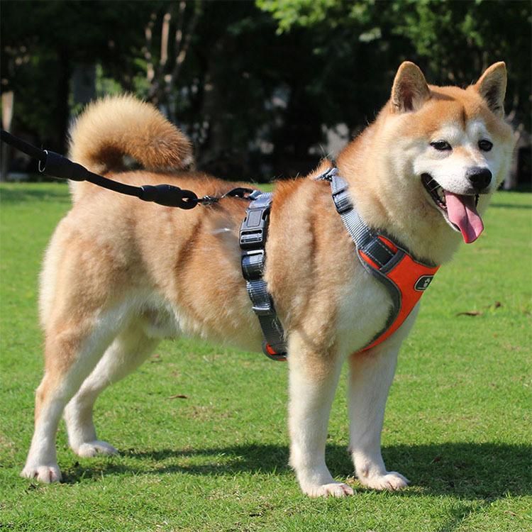 Air Mesh Luxury Customizable Printable Full Body Dog Harness Vest