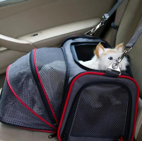 Wholesale Luxury Car Cat Dog Carrier Bag in Hot Selling