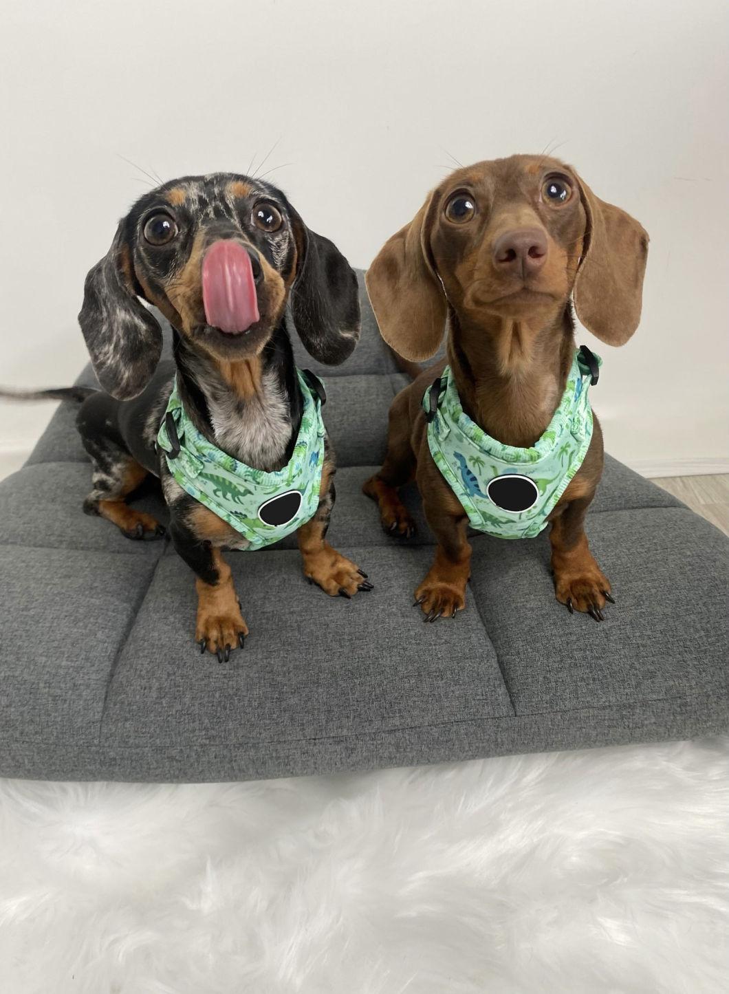 Animal Dinasour Pet Supplies Wholesale Breathable Custom Mesh Nylon Solid Pet Reflective Dog Harness
