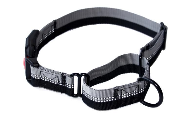 Adjustable Reflective Martingale Dog Collar and Leash with Padded Handle