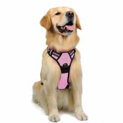 No-Pull No-Choke Dog Harness with Soft Neoprene Padding Breathable Mesh