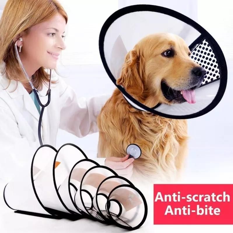 Pet Elizabethan Circle Plastic Collar Pet Dog Recovery Collar
