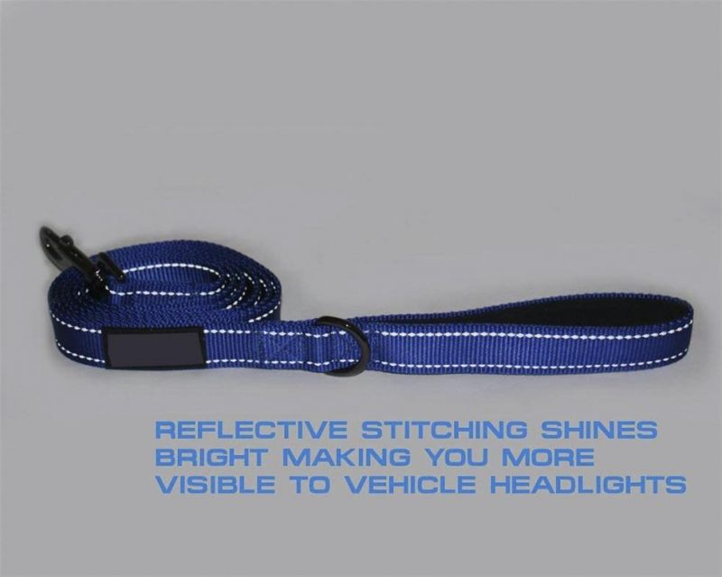Wide Nylon Reflective Durable Pet Leash Padded Dog Lead