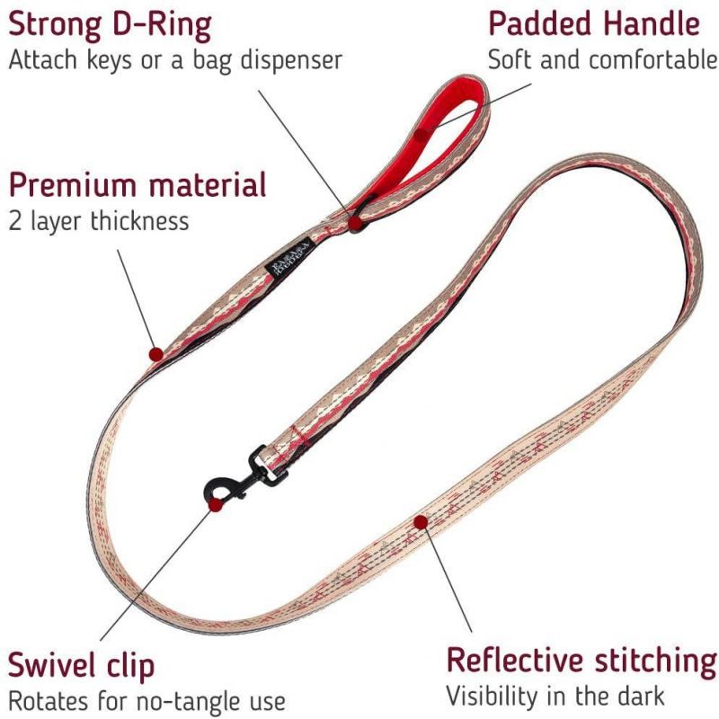 Highly Visible Reflective Webbing Soft Padded Dog Leash for Large Dog