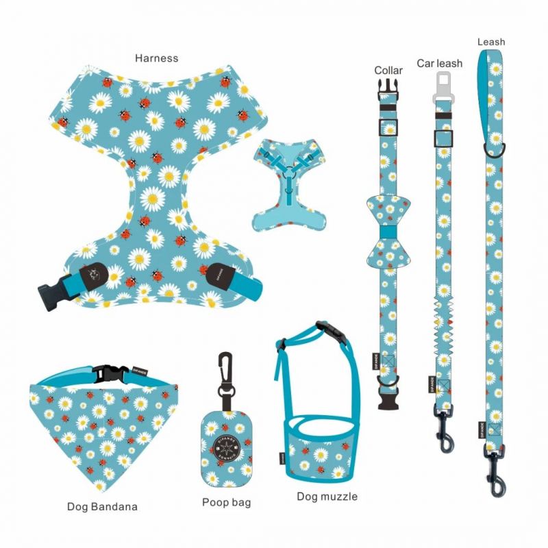 Amazon Hot Selling Luxury Brand Adjustable Breathable Pet Dog Harness Leash Set