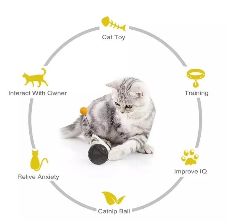 Interactive Cat Toys Cat Swing Toy
