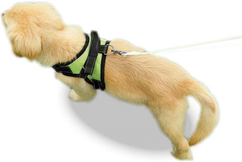 Comfortable Sponge Filled Anti Pull Mesh Dog Harness
