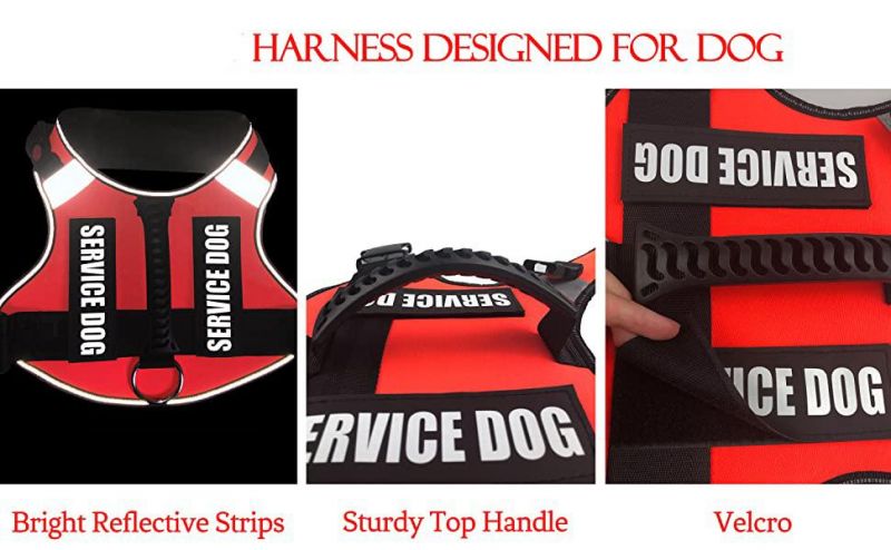 Customized Orange Color No Pull Dog Harness Service Dog Vest for Small Medium & Large Dogs