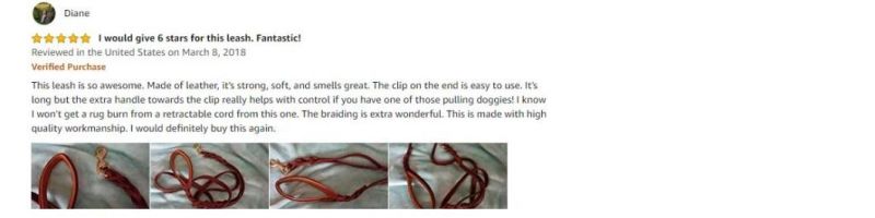 Heavy Duty Leather Dog Leash with 2 Handles, Padded Traffic Handle for Extra Control, 6FT Dog Training Walking Leashes