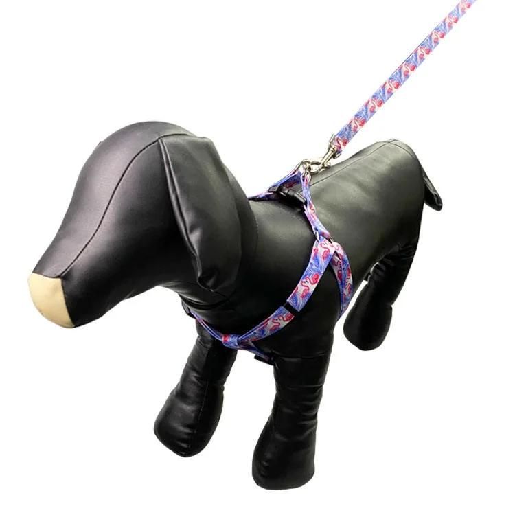 Custom Sublimation Polyester Dog Harness Leashes Set, Pet Leads and Harness for Training and Walking