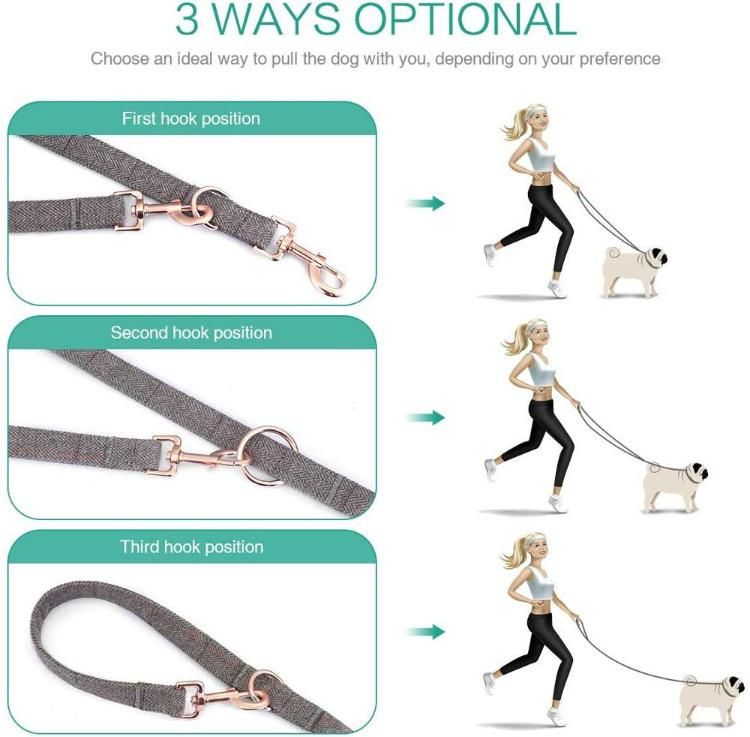 Custom Rose Gold Buckle Tweed Dog Leash with Matching Collar
